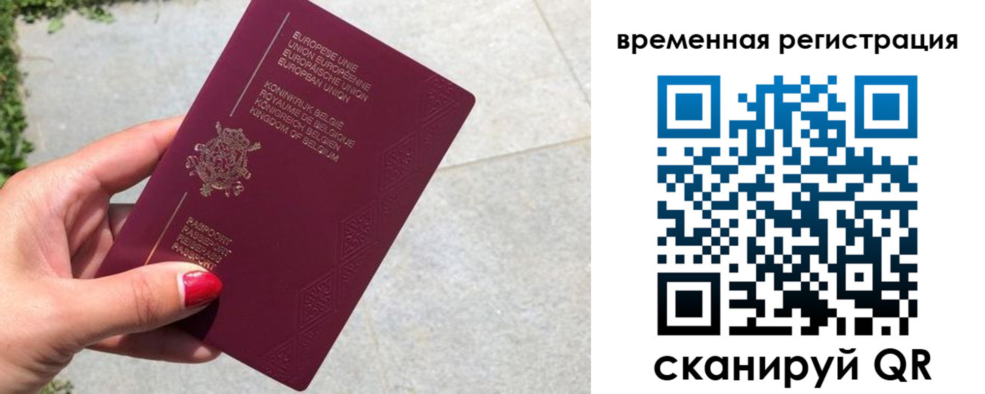 пропишу в квартире в Дубне